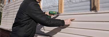 Best Custom Trim and Detailing for Siding  in North Pole, AK